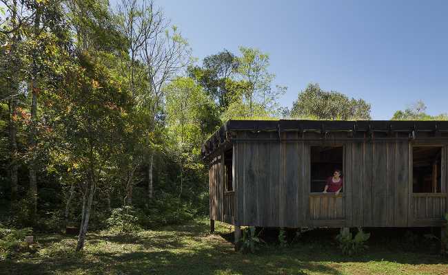 Edificio de madera con árboles